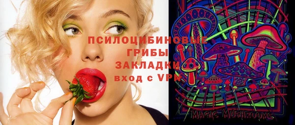 spice Арсеньев