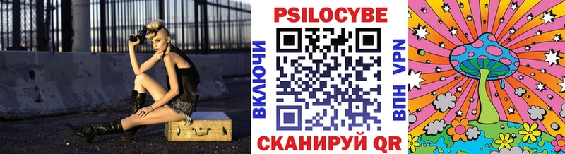 Галлюциногенные грибы Psilocybe  наркотики  Балахна 